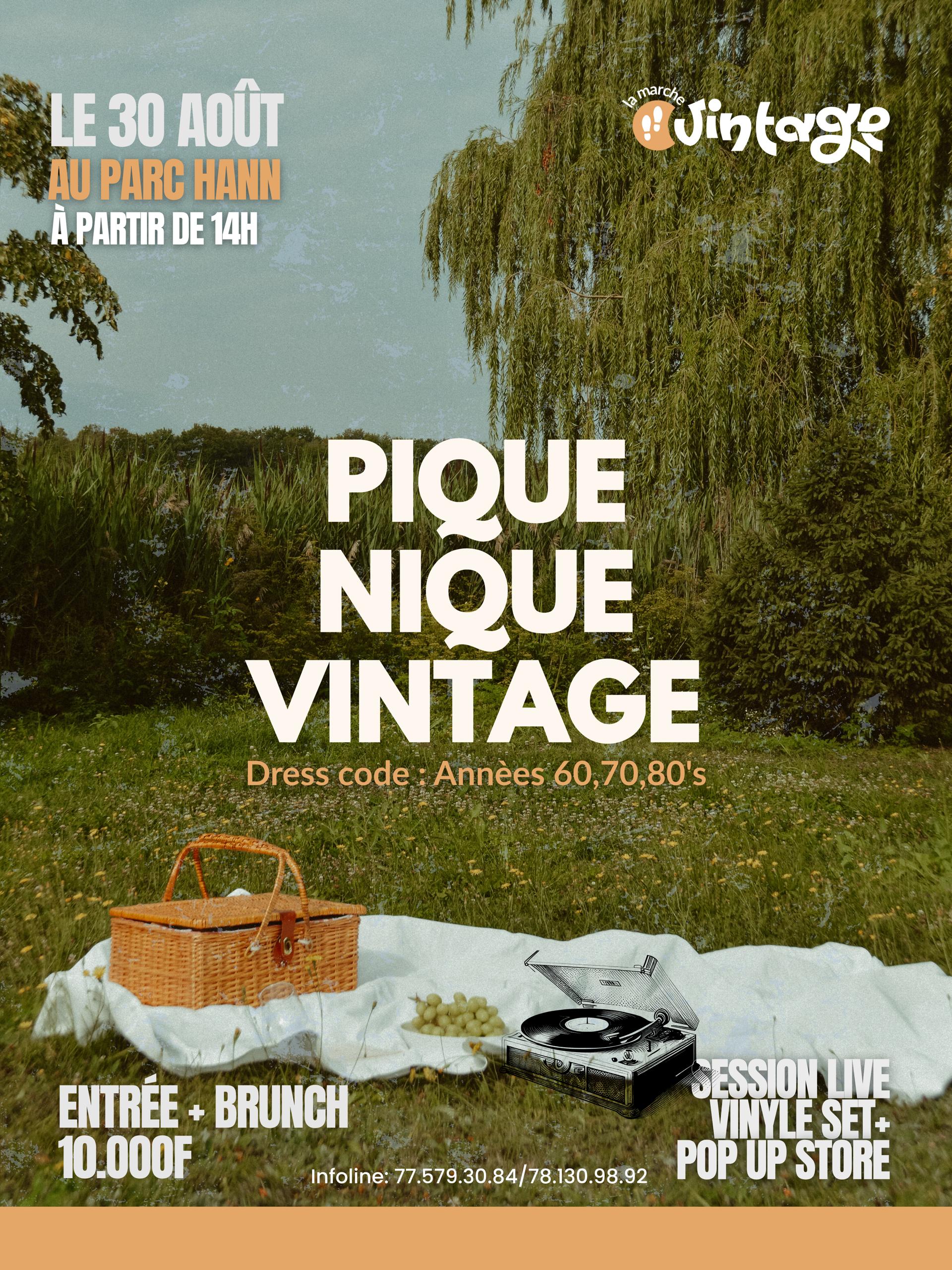 Pique-nique Vintage
